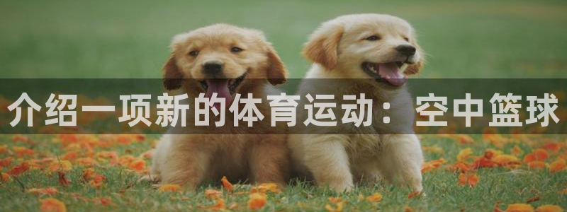 3377体育官方正版app集团E.ON:介绍一项新的体育运动